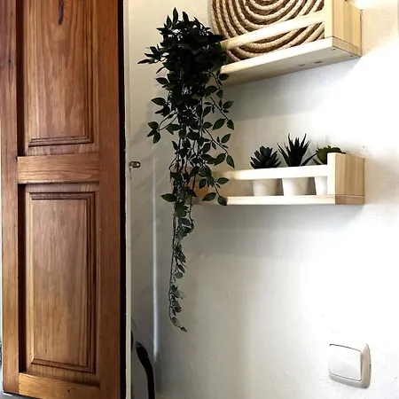 Harmonia De La Mar Feriehus